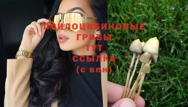 spice Мегион
