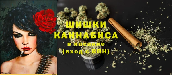 ECSTASY Медногорск