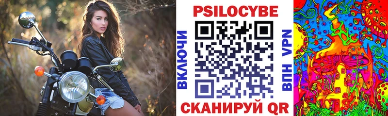 закладка  Новопавловск  Галлюциногенные грибы GOLDEN TEACHER 