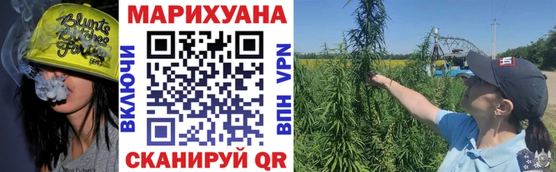 Шишки марихуана семена  нарко площадка телеграм  Новопавловск 